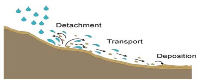 S&WCE: Lesson 2 Principles Of Soil Erosion